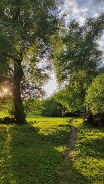 A51cbdd9-2d3d-4778-9415-e458ad605403