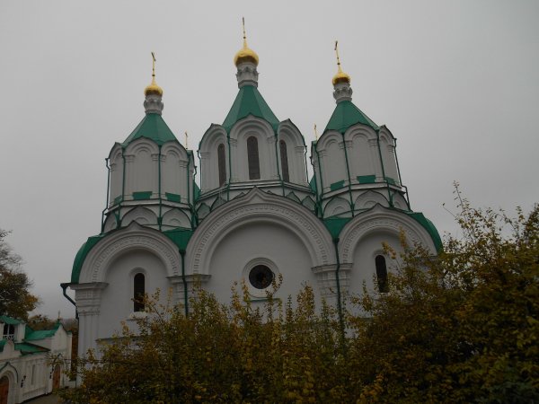 DSCN3195