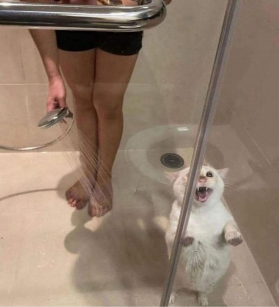 2ed8b1f9-2ff6-404b-ad29-92448f06bb56