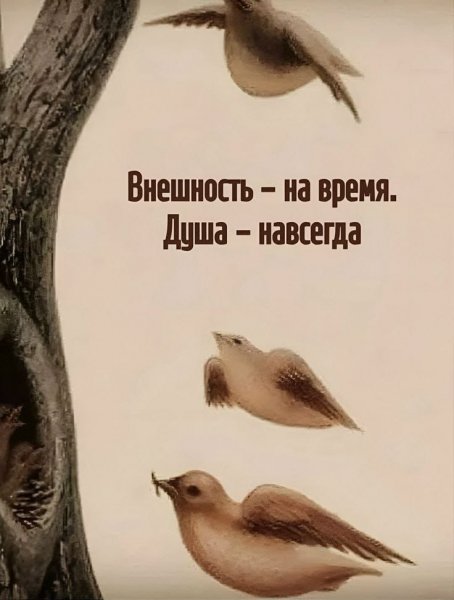 IMG-20251125-WA0056