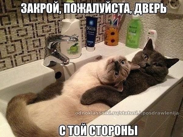 picture_96000152