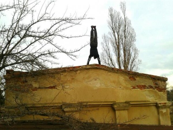 Стойка на руках,