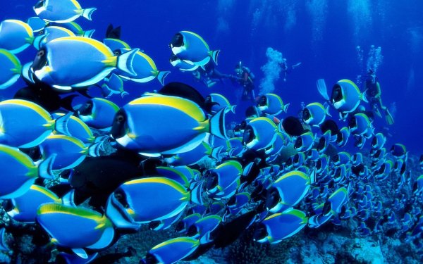 f037e5134b96aa7d548cce7b2