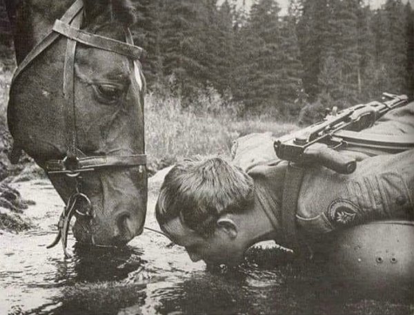 JpIBZla2MhWloSnDqeuKv8aKSoWwLdulL3-Xma0l84reWZ5--Pkh2JS5Wtr3