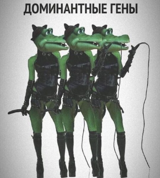 ea6a memy-i-kartinki-s-vzroslym-jumorom-4