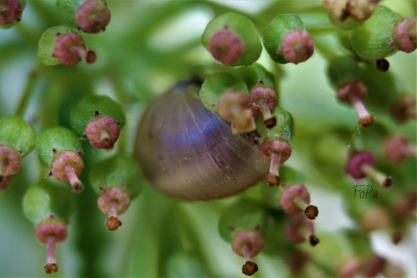 62c5e370198e3 IMG 6117