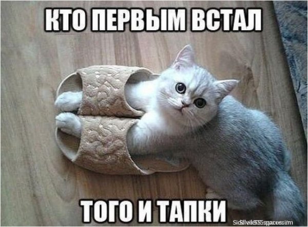 Кто в доме хозяин?