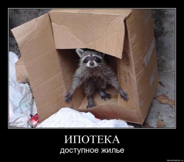 Demotivator (1)