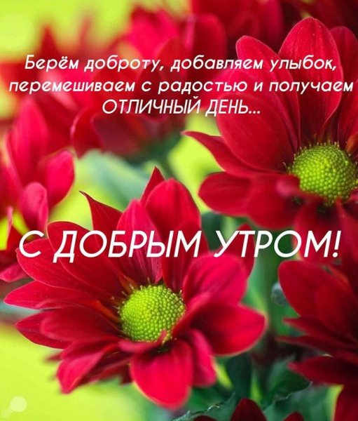 hodI0L1HhSQ