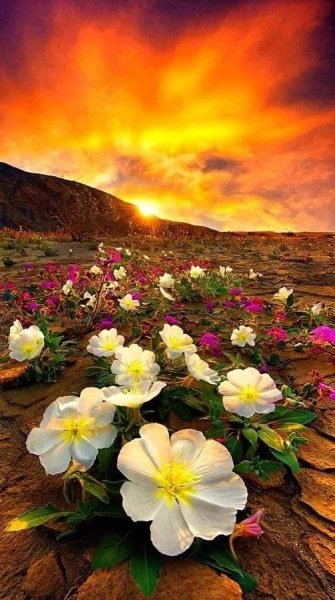 FB IMG 1621453905785