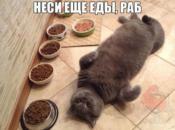 Раб