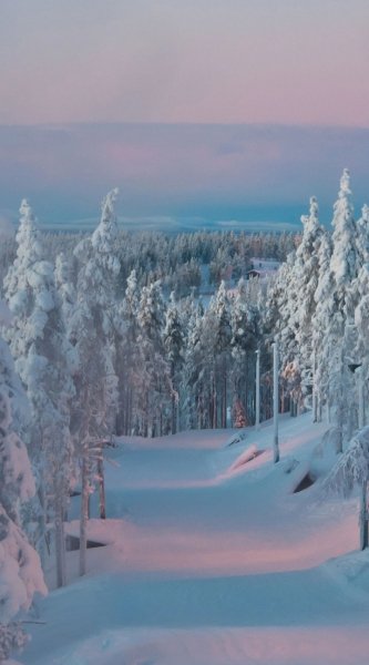 Screenshot 20240516-131403 One UI Home