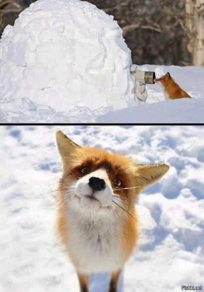 ))
