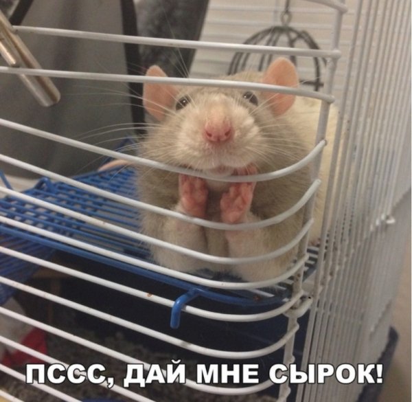 IMG 20180802 205916