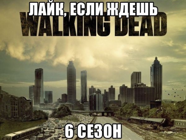 u0SIz1QnjVA