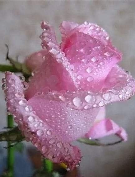 09-32-04-207095681 195173925944831 1956321256956656594 n