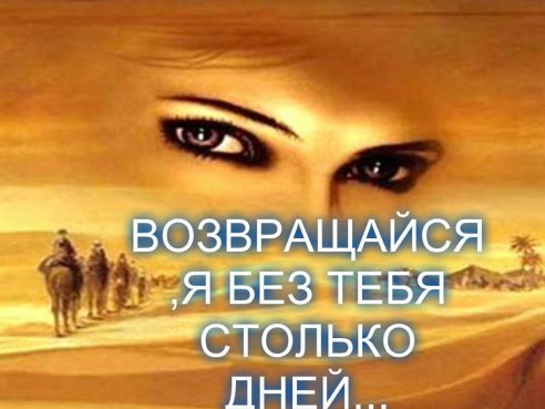 image(853)