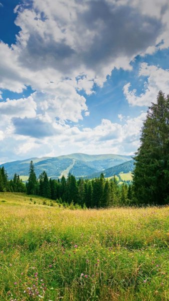 Screenshot 20251012-093017 One UI Home