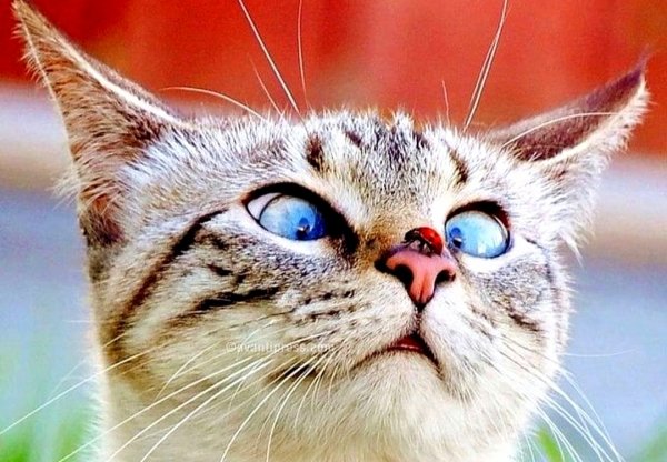 Лето на носу!