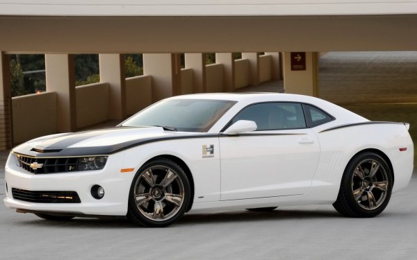 Wallpapers Mix 1956 249