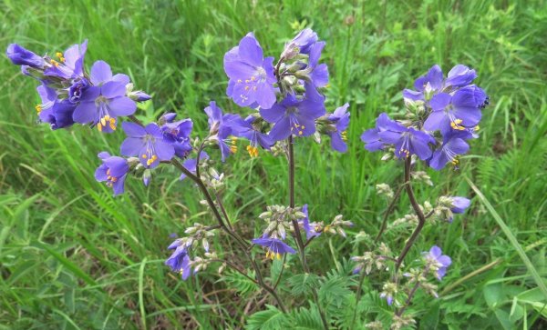 picture_396498434