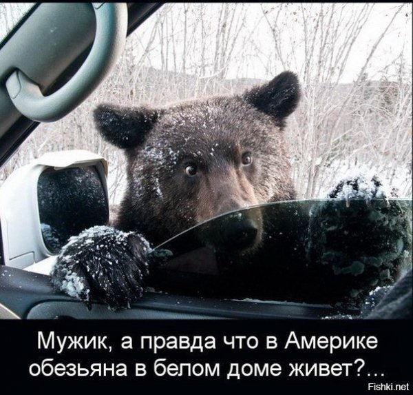 91c72bfe8c61e0652775af8835daff4c