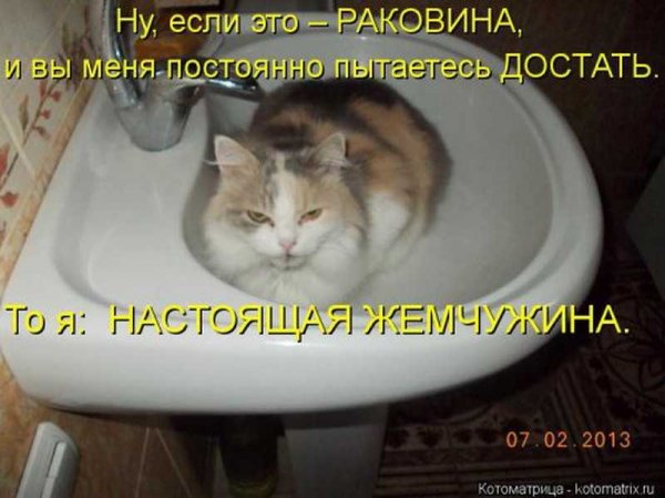 Настоящая жемчужина