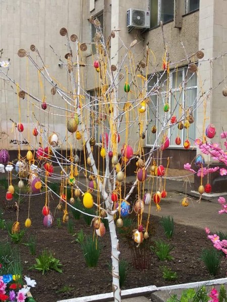 FB IMG 1619707517917