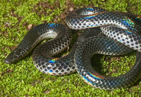 c3c2715e842ed3556b82abba74ba6