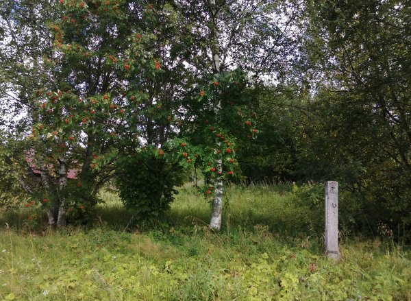 picture_397016769