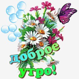 доброе утро