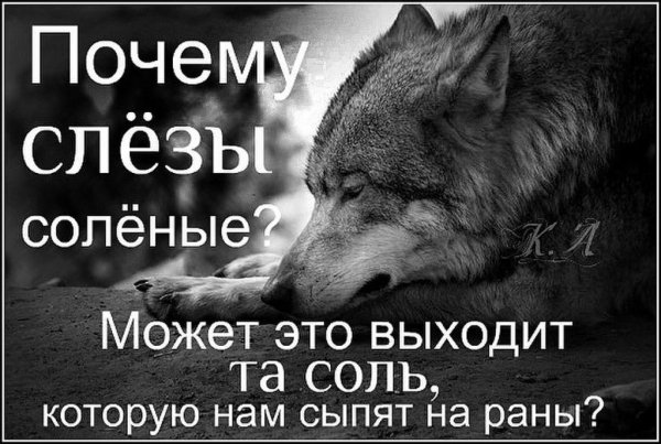 image(8)