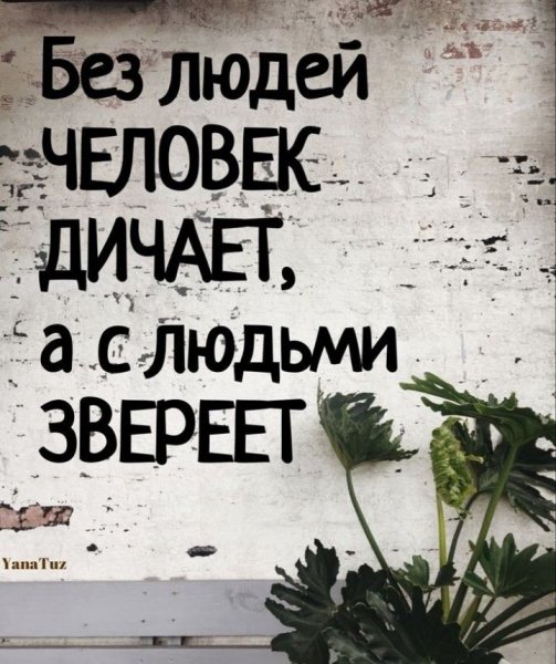picture_408768615