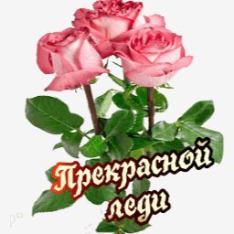 прекрасной леди