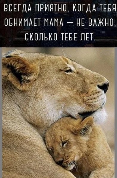 Про маму
