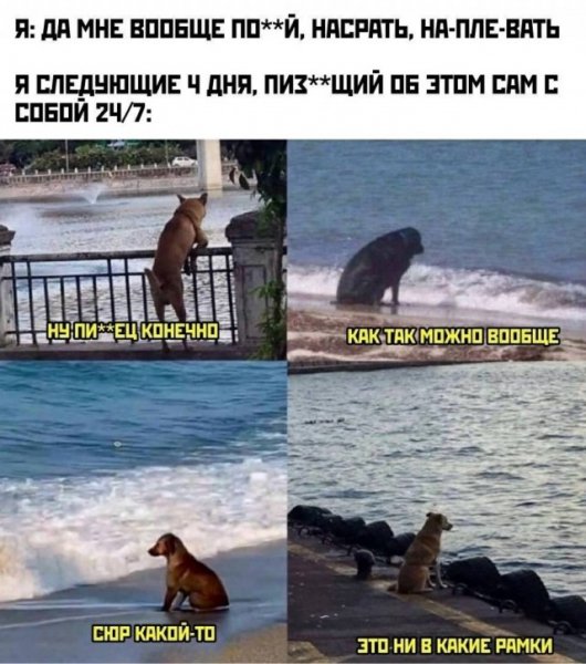 Cc31a95fab 20398253