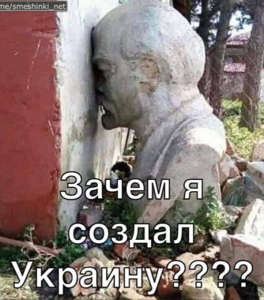 IMG 20231108 080636
