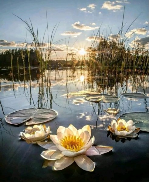 Screenshot 20220506 093455