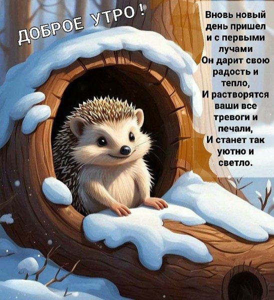 f64e1cdcb4c679544bf977f66f