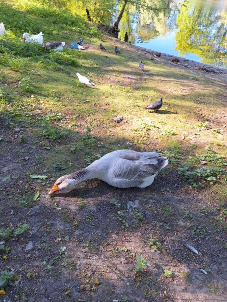picture_363676598