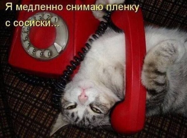 IMG 20260523 191906