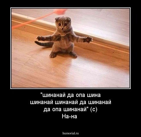pics