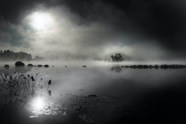 Photo-1507916304239-43454f7b0edf