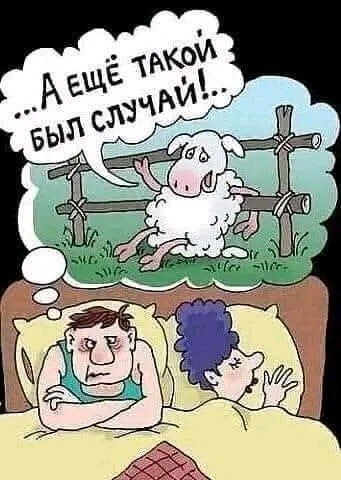 Бараньи истории