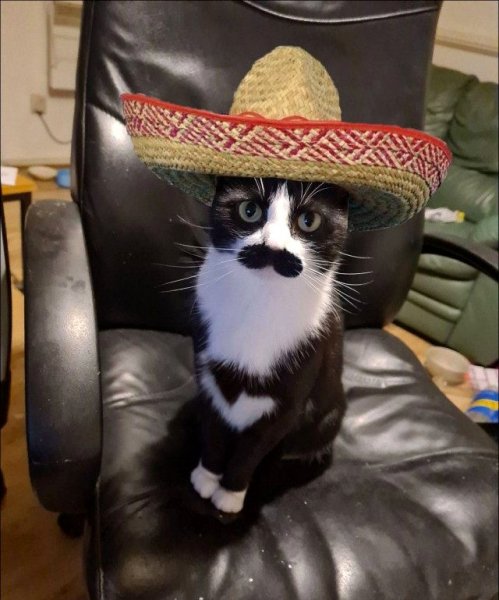 Мексиканец