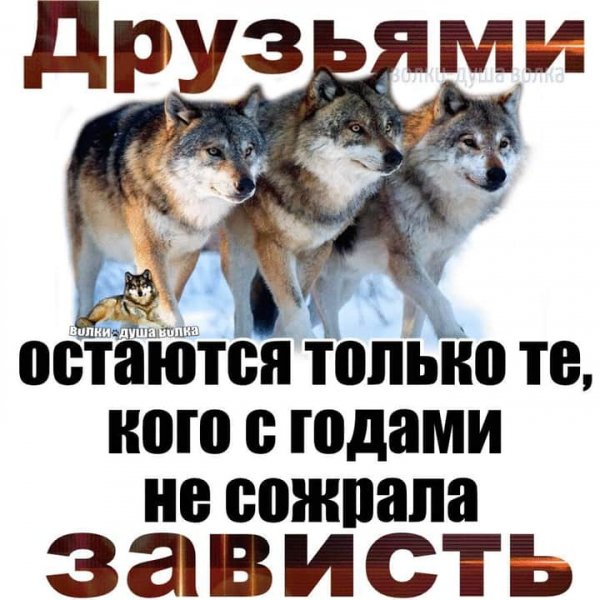 FB IMG 1596573465505