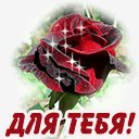 роза