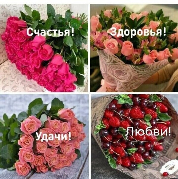 IMG-8c2c96d5eafc1d38b987ed6155c67e3d-V