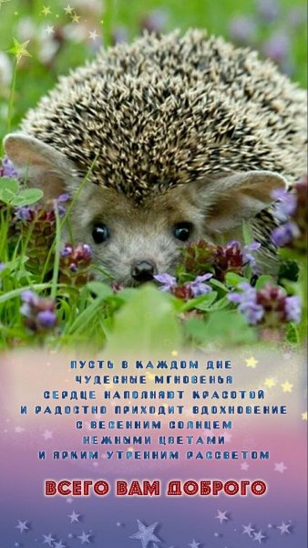 Ba1958861363d636eeb70e175e2c4166