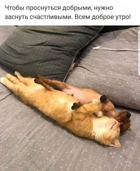 i (89)
